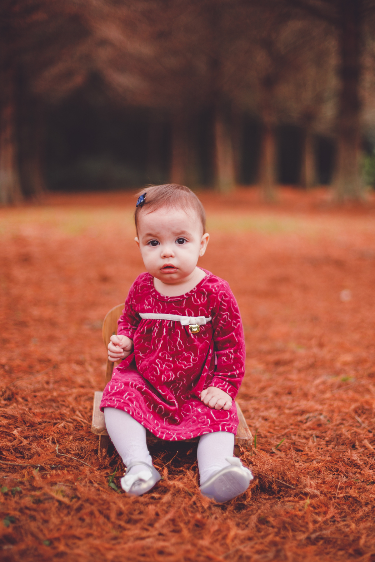 fotografa familia curitiba - ensaio externo livia
