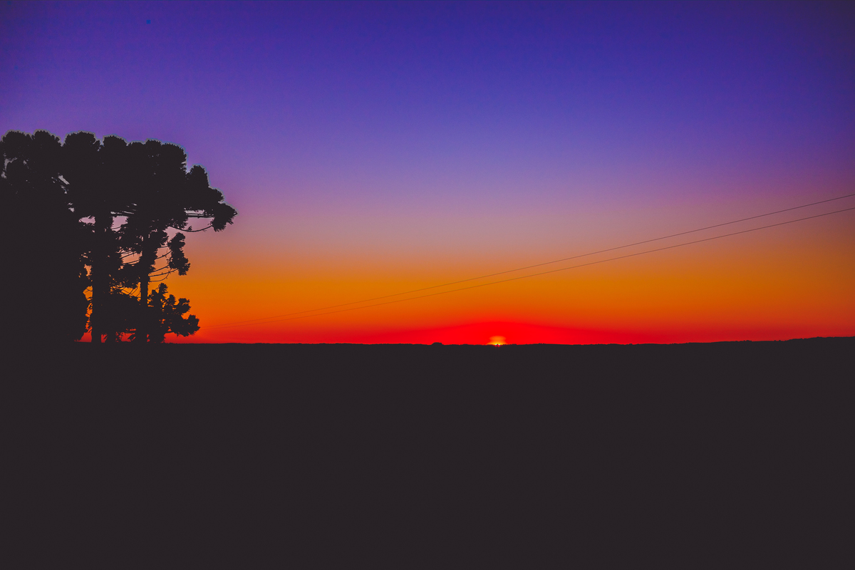 fotografa familia curitiba - ensaio gestante aldi 