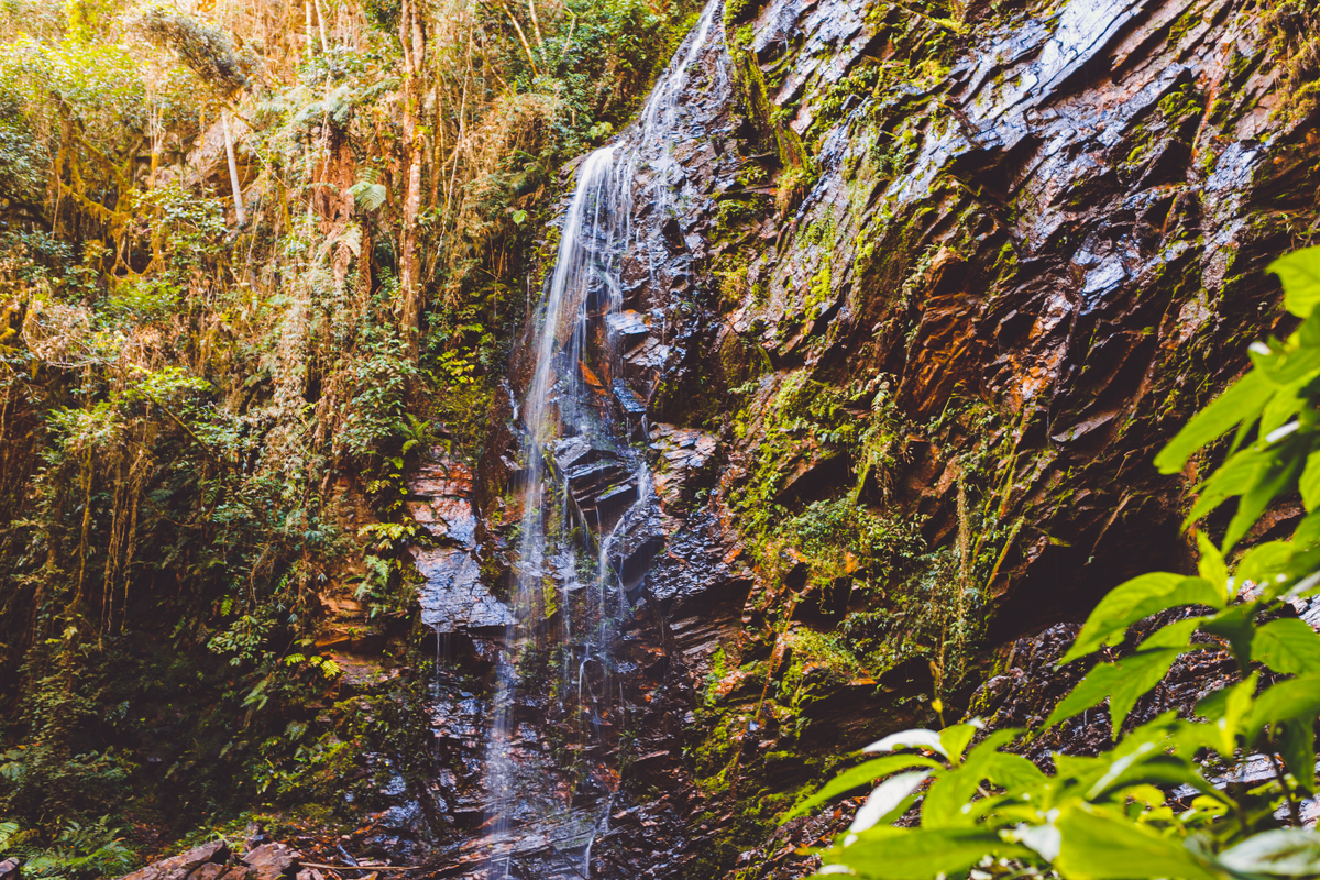 fotografa familia curitiba - ensaio gestante aldi 