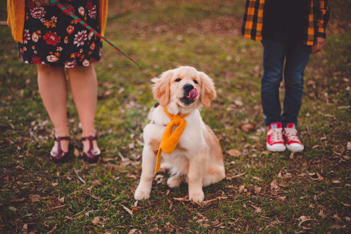 fotografa familia curitiba - externno tingui rachel
