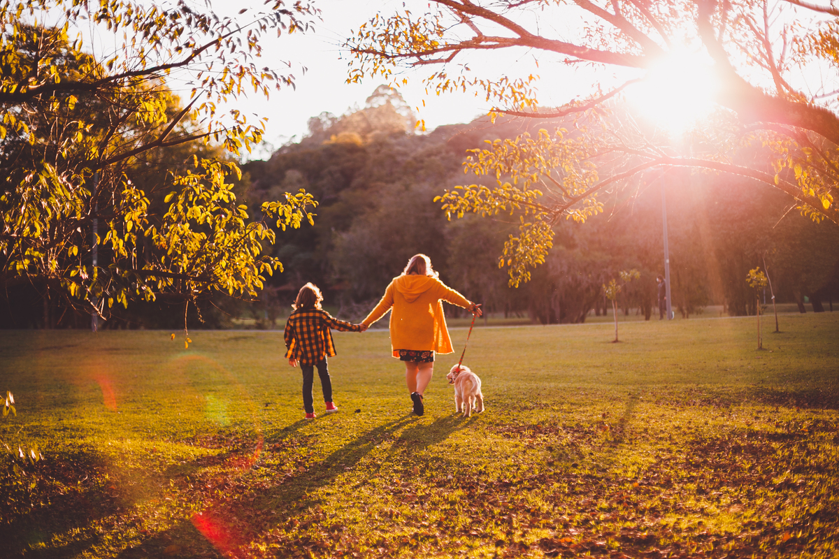 fotografa familia curitiba - externno tingui rachel