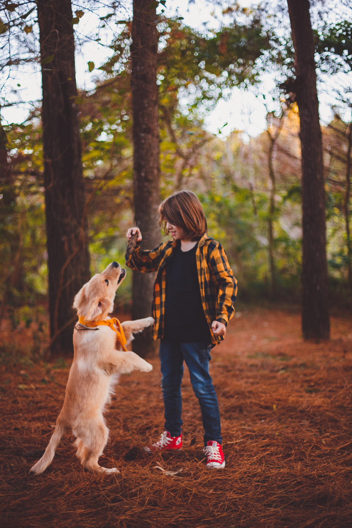 fotografa familia curitiba - externno tingui rachel