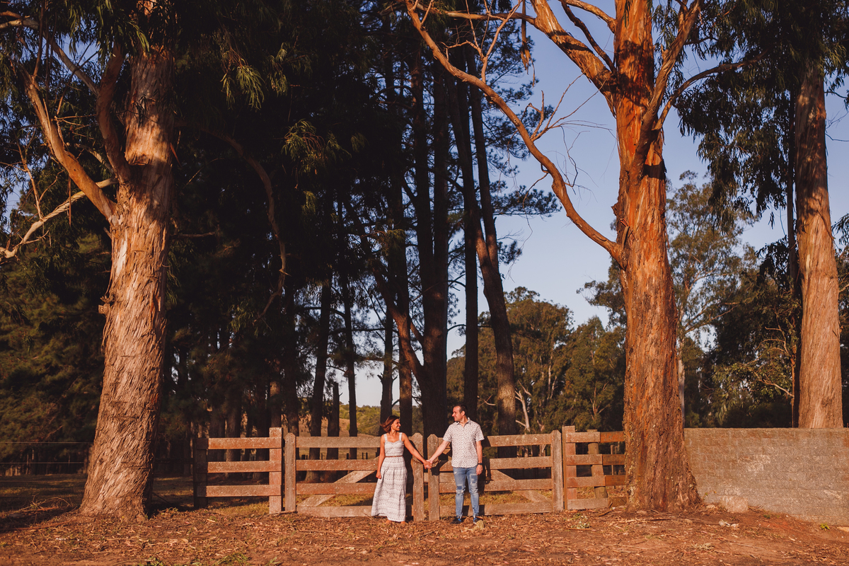 fotografa familia Curitiba  - ensaio casal Renata e Ricardo