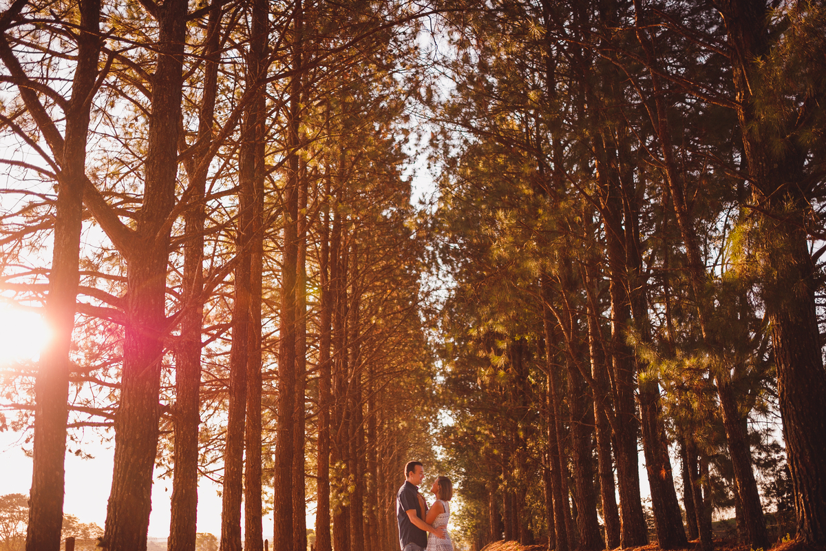 fotografa familia Curitiba  - ensaio casal Renata e Ricardo