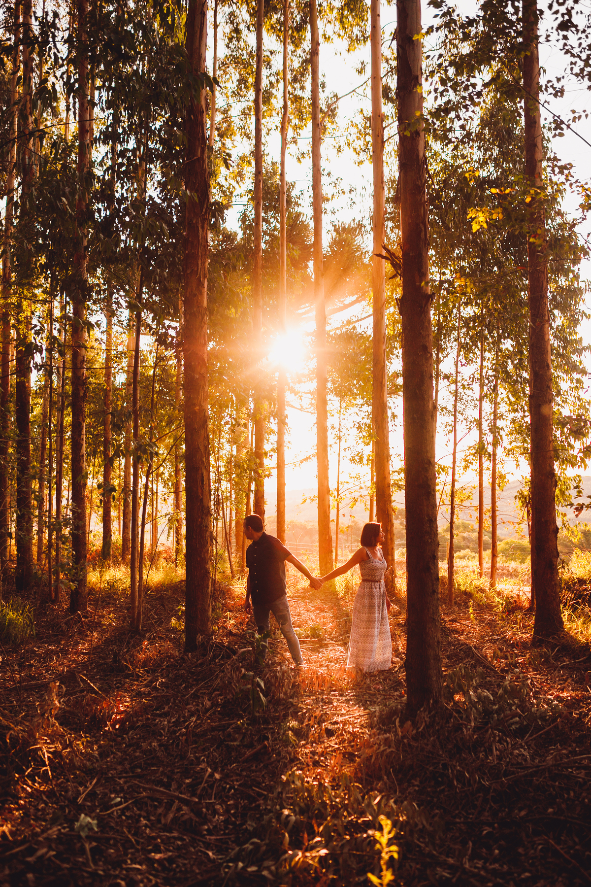 fotografa familia Curitiba  - ensaio casal Renata e Ricardo