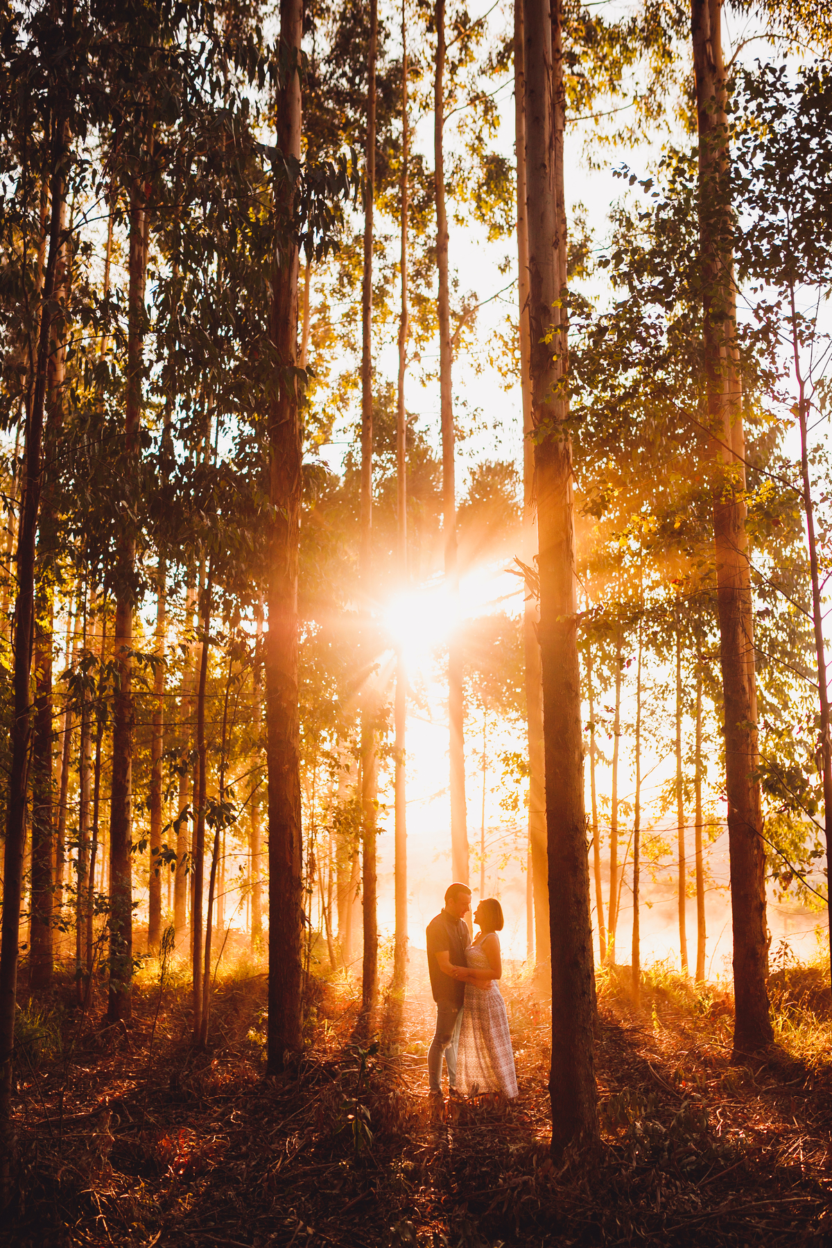 fotografa familia Curitiba  - ensaio casal Renata e Ricardo