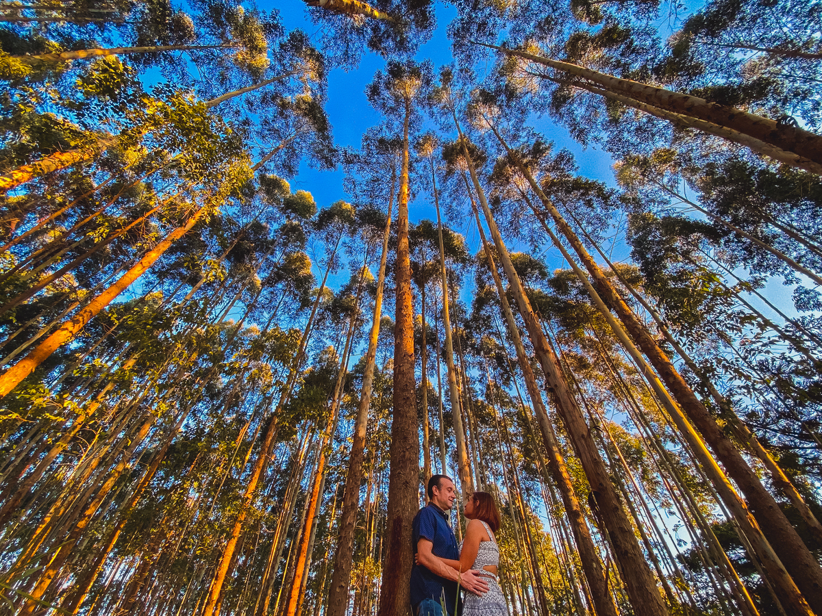 fotografa familia Curitiba  - ensaio casal Renata e Ricardo