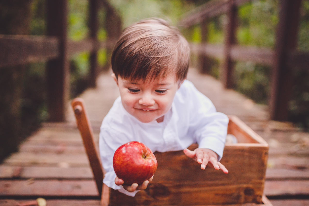 fotografa familia curitiba - italo externo 1 ano