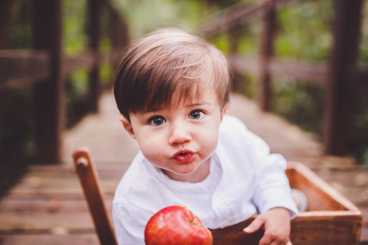 fotografa familia curitiba - italo externo 1 ano