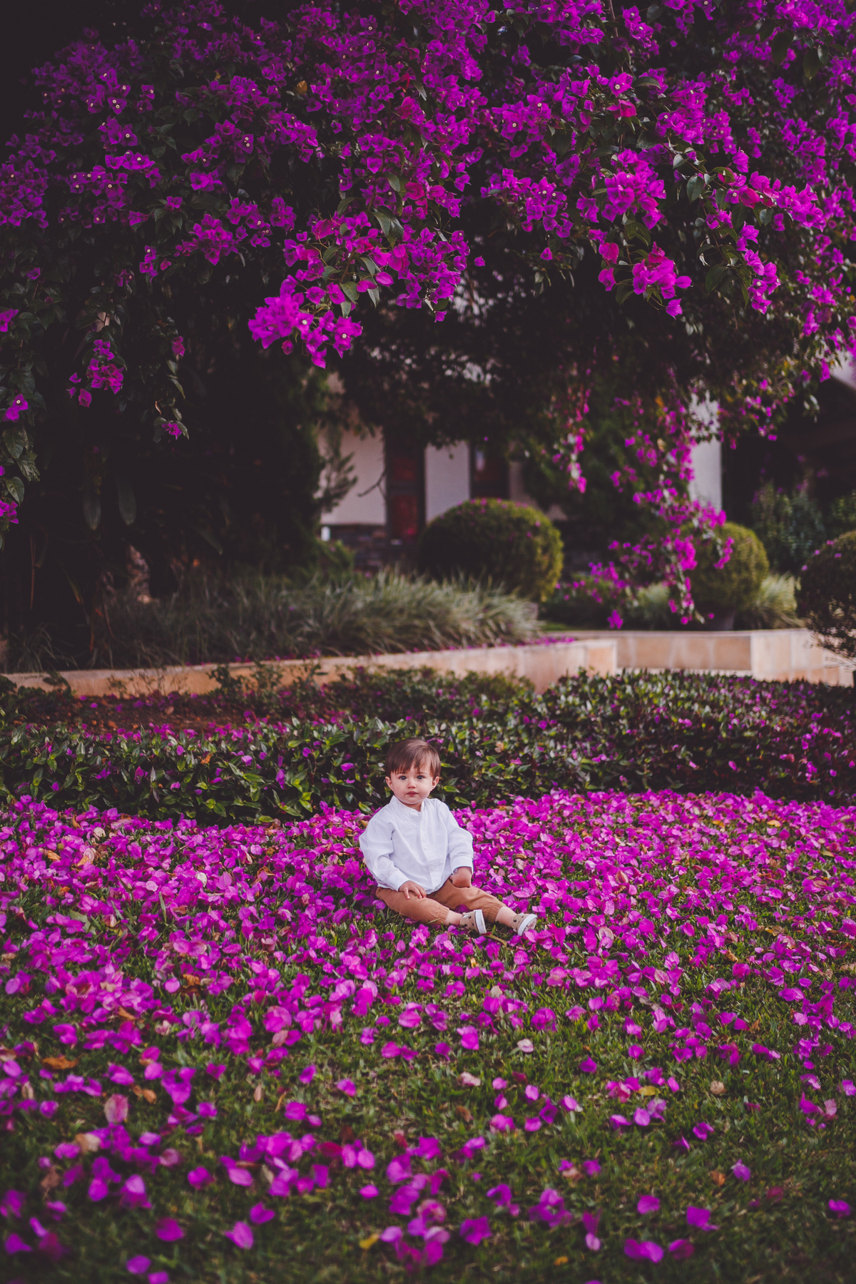 fotografa familia curitiba - italo externo 1 ano