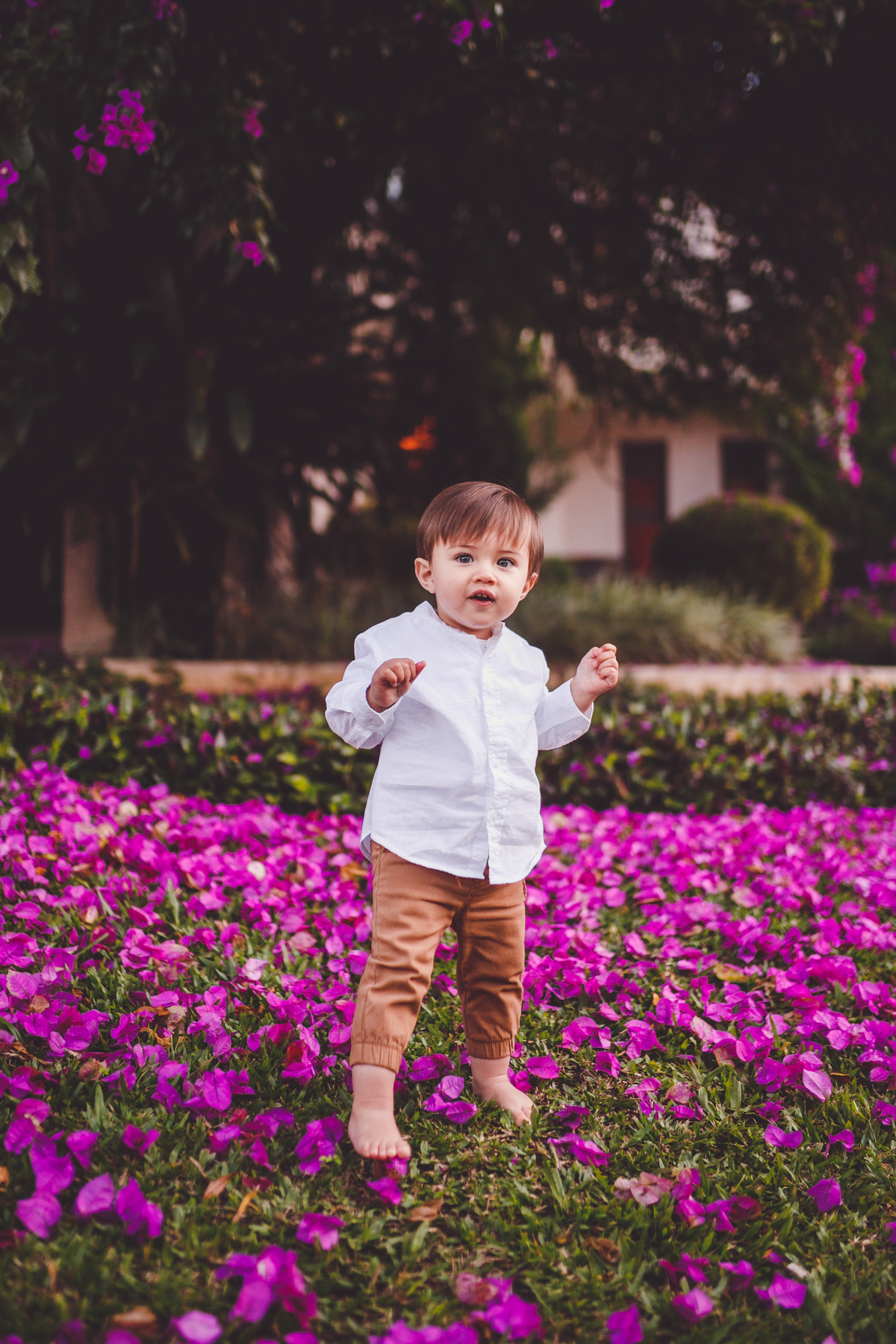 fotografa familia curitiba - italo externo 1 ano