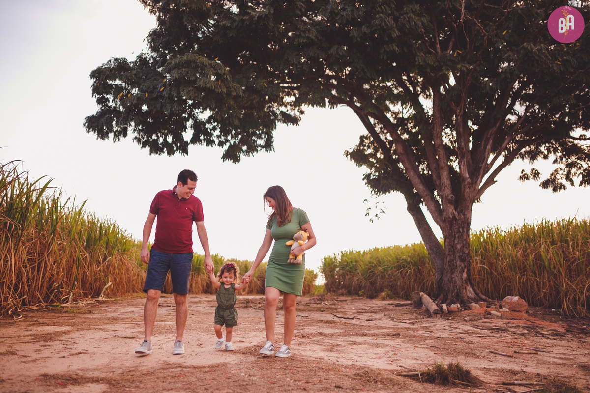 fotografa familia curitiba - girassol pirar Holambra SP