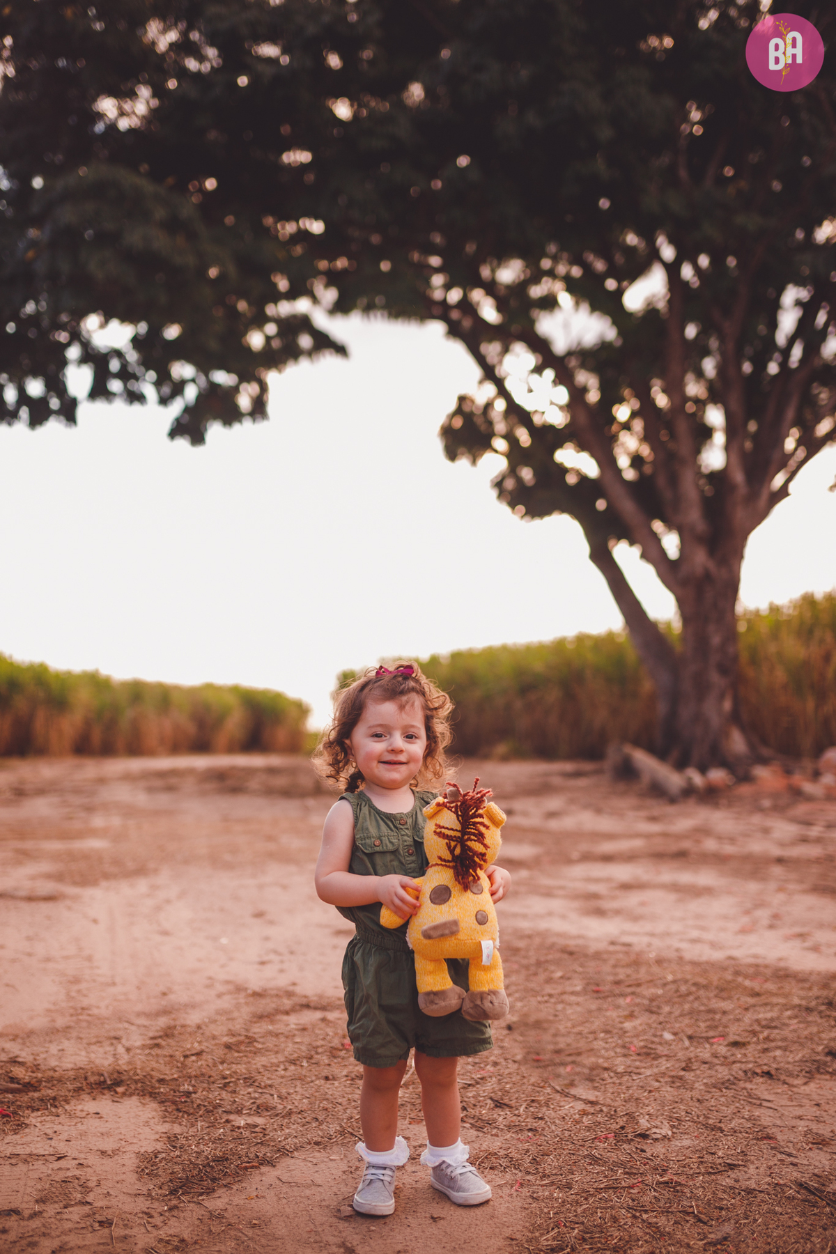 fotografa familia curitiba - girassol pirar Holambra SP