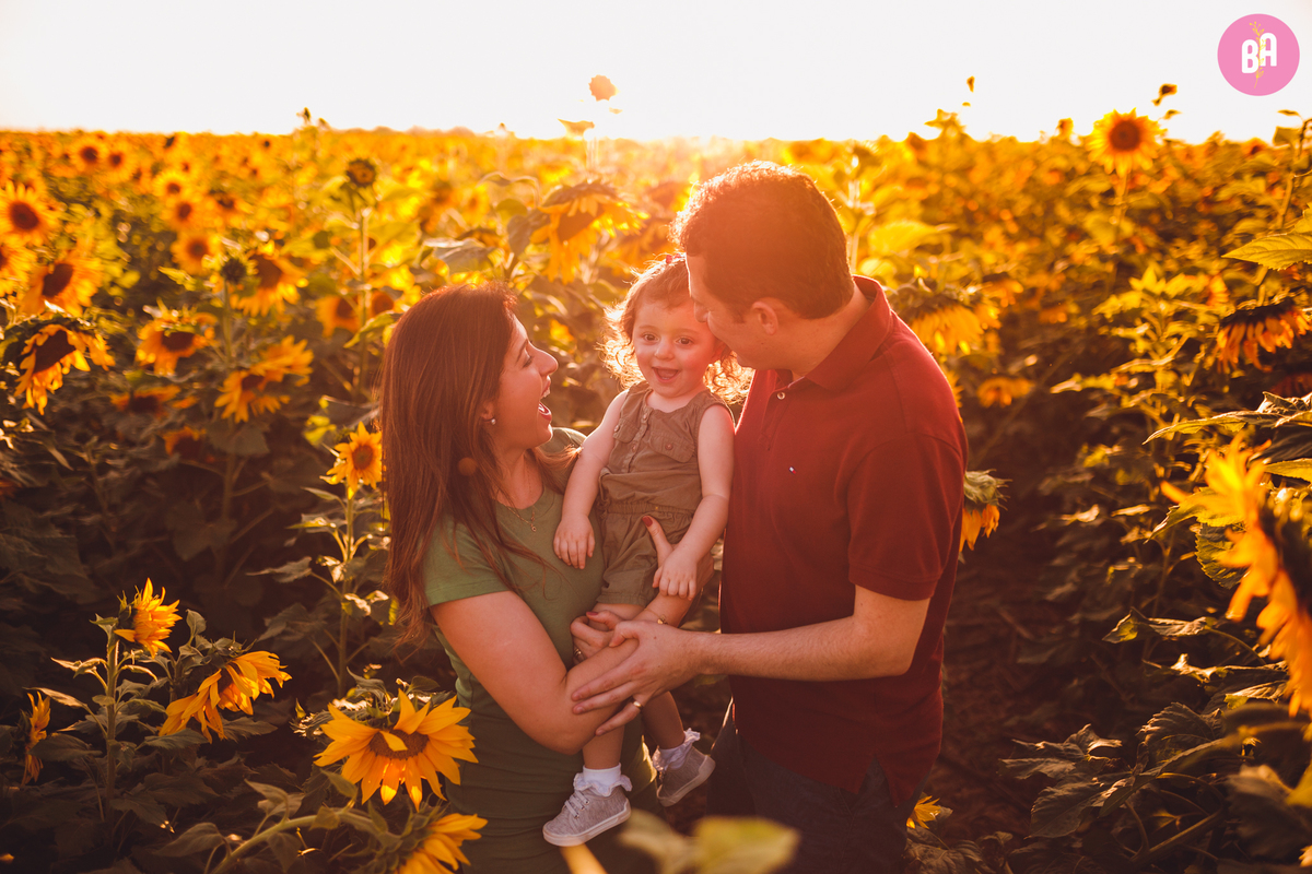 vfotografa familia curitiba - girassol pirar Holambra SP