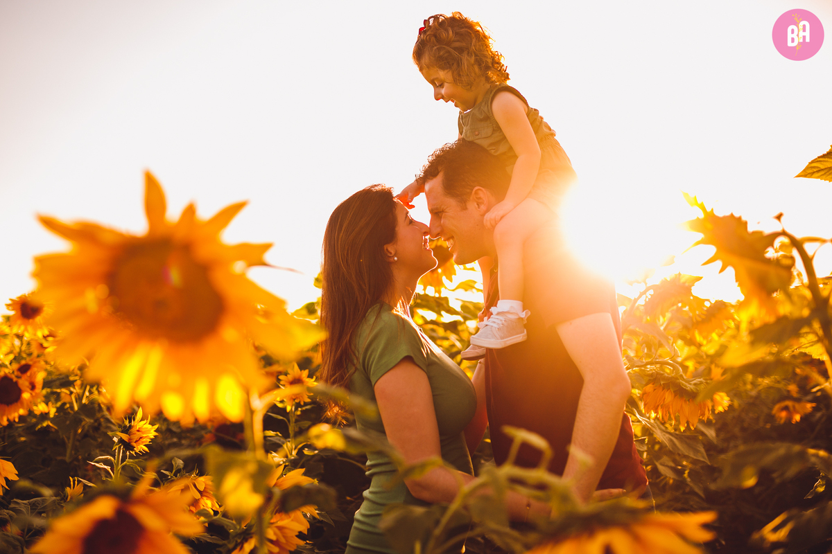 fotografa familia curitiba - girassol pirar Holambra SP