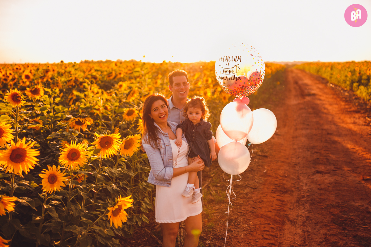 fotografa familia curitiba - girassol pirar Holambra SP