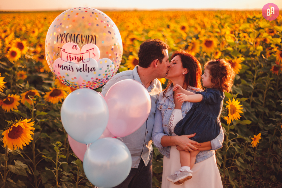 fotografa familia curitiba - girassol pirar Holambra SP