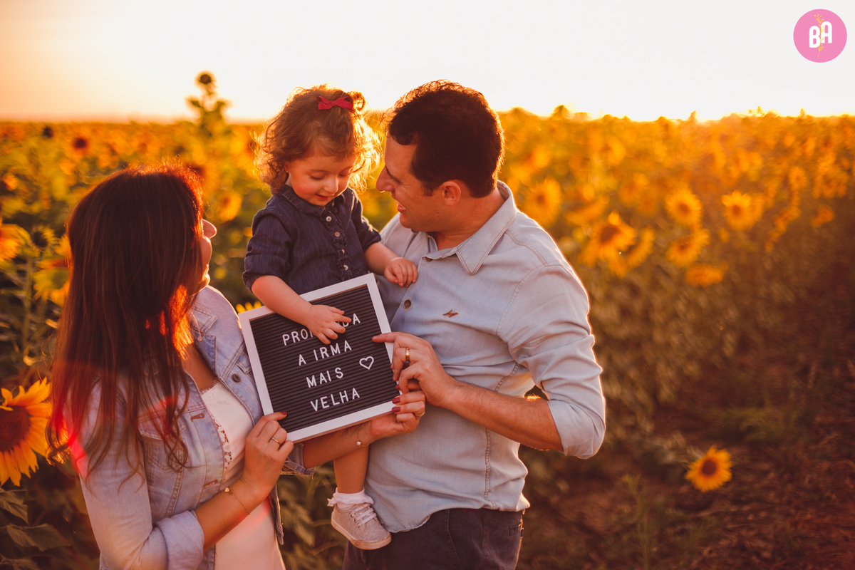 fotografa familia curitiba - girassol pirar Holambra SP