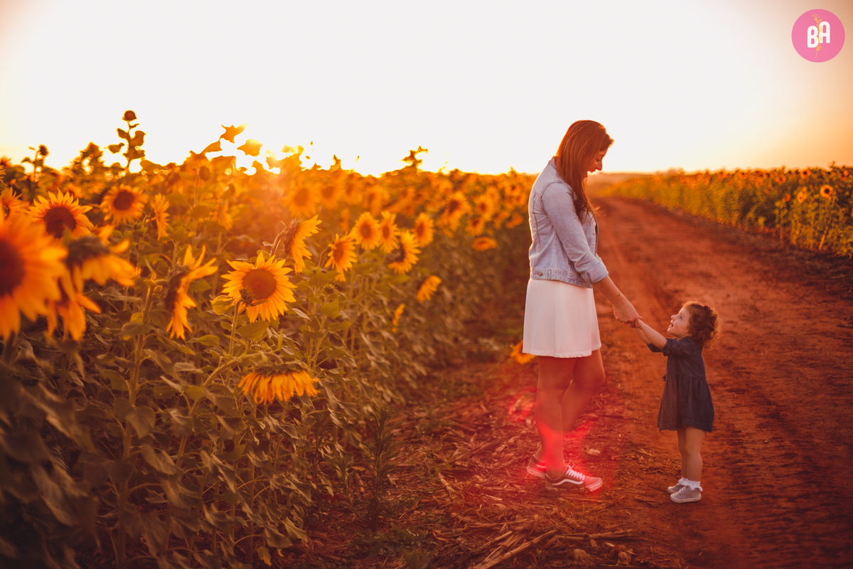 fotografa familia curitiba - girassol pirar Holambra SP