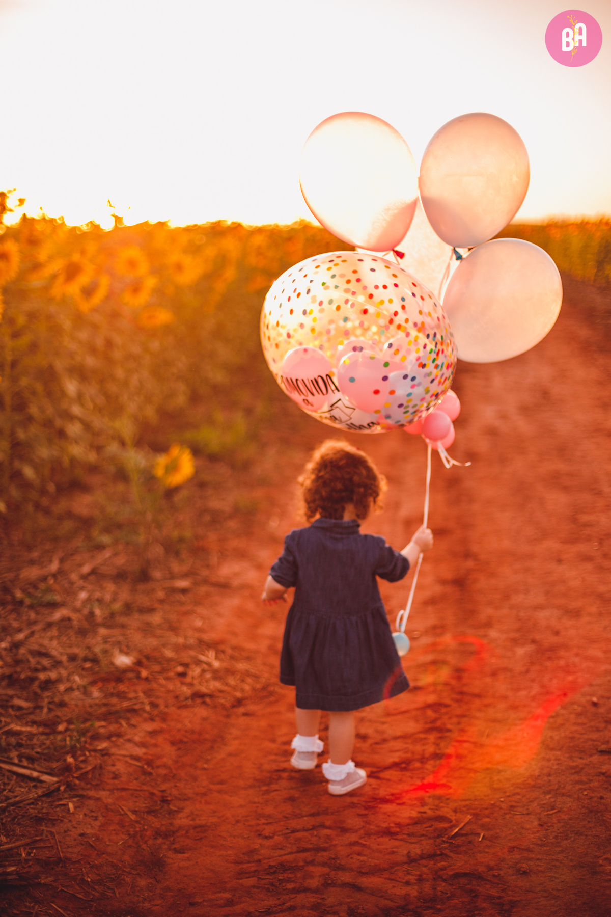fotografa familia curitiba - girassol pirar Holambra SP