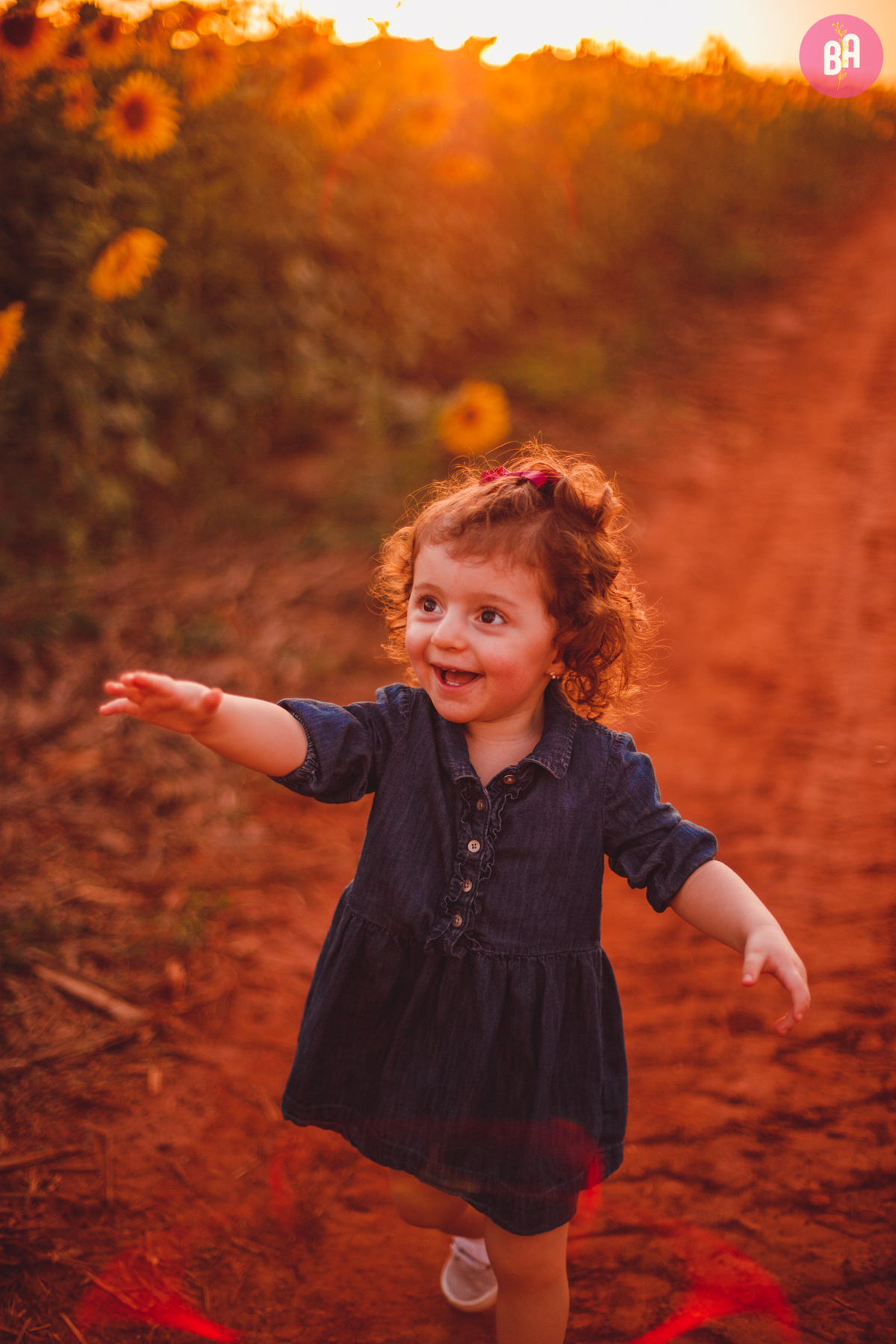 fotografa familia curitiba - girassol pirar Holambra SP
