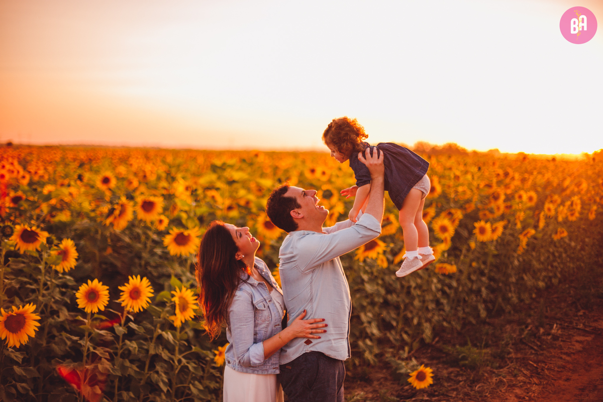 fotografa familia curitiba - girassol pirar Holambra SP
