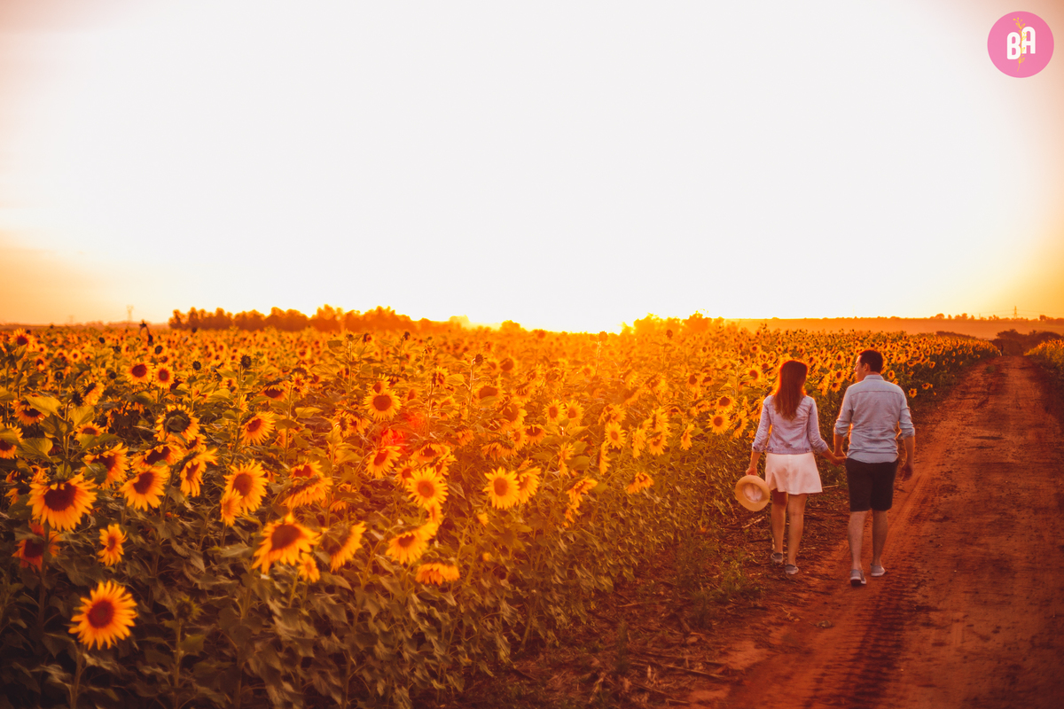 fotografa familia curitiba - girassol pirar Holambra SP