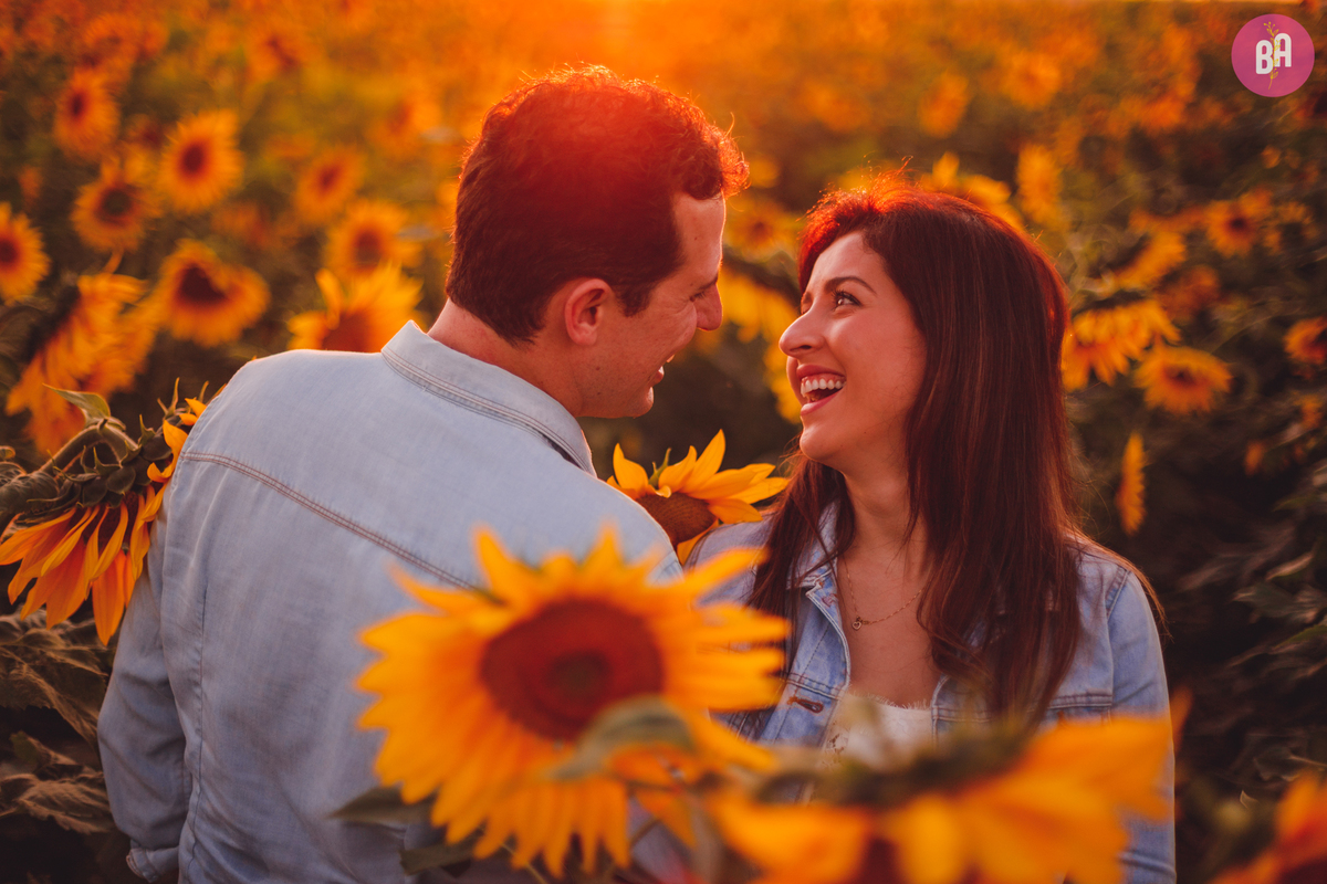 fotografa familia curitiba - girassol pirar Holambra SP