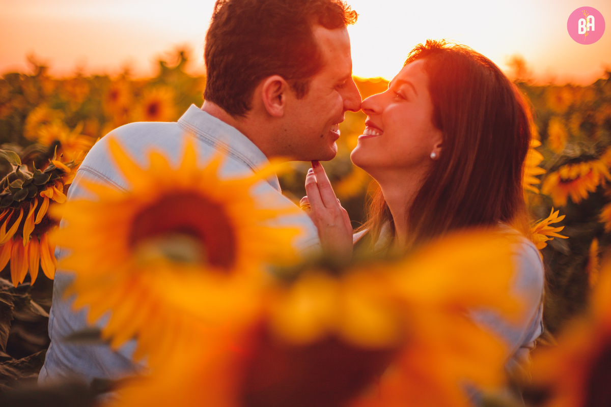 fotografa familia curitiba - girassol pirar Holambra SP