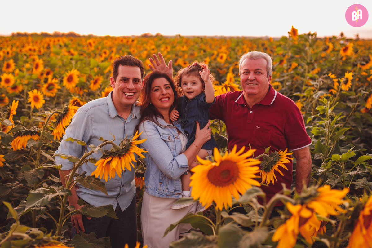 fotografa familia curitiba - girassol pirar Holambra SP
