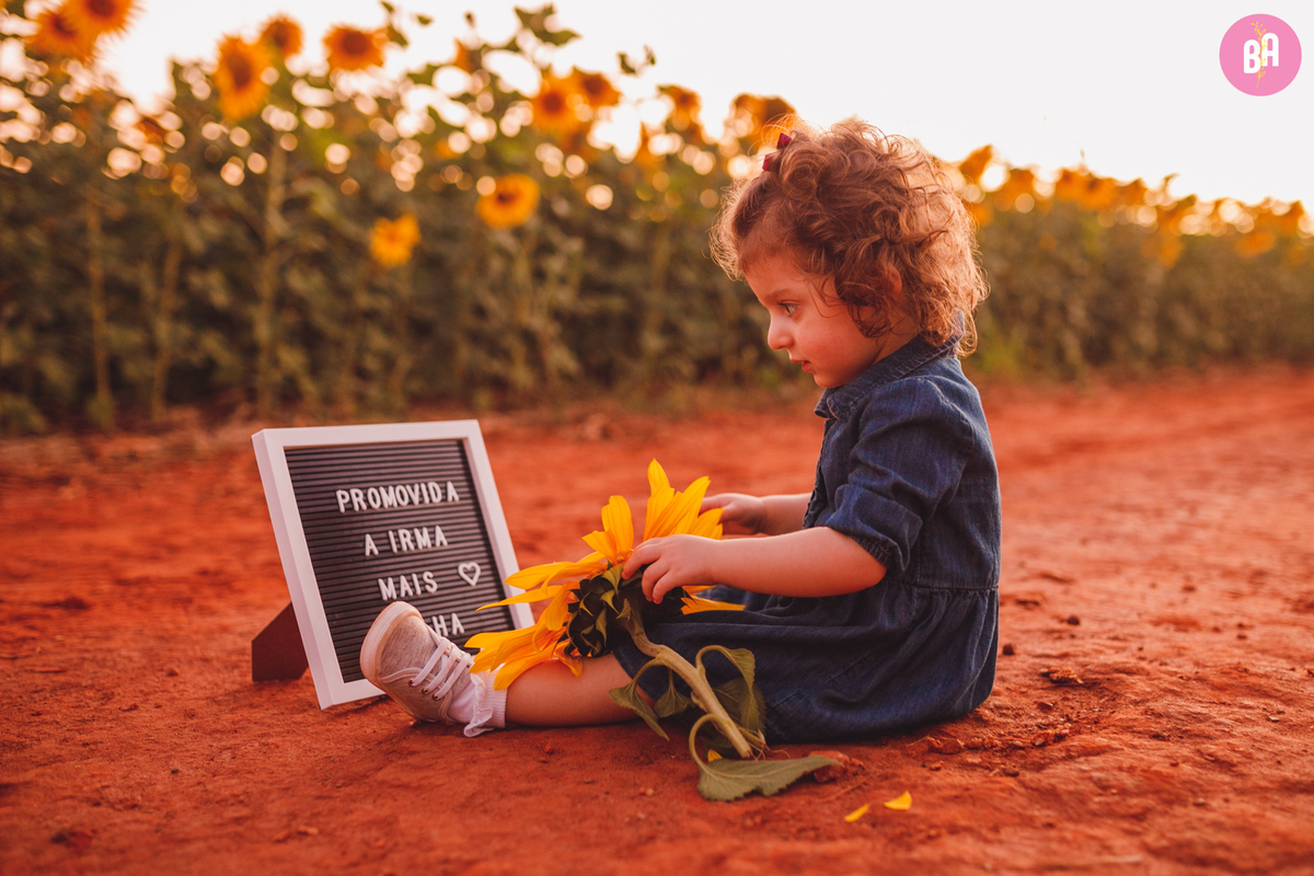fotografa familia curitiba - girassol pirar Holambra SP