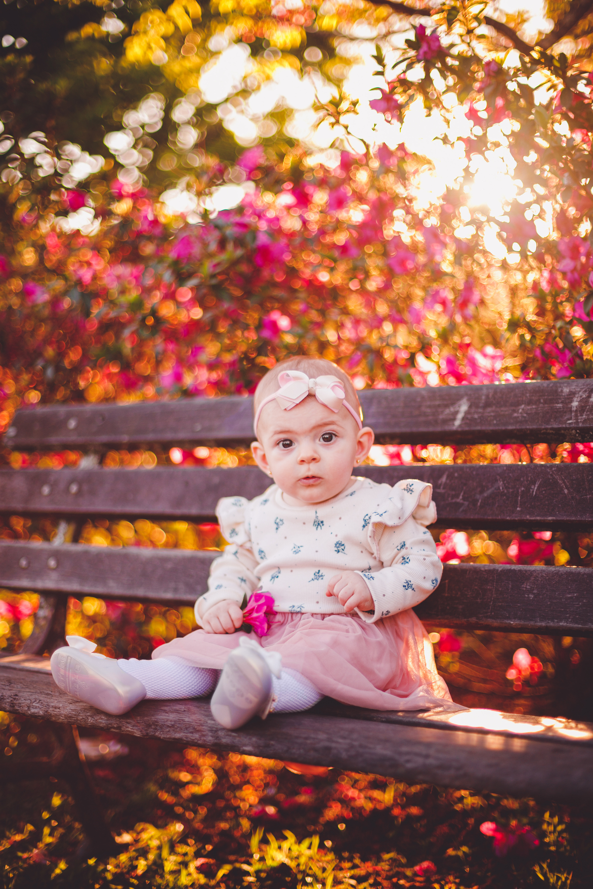 fotografa familia curitiba - ensaio externo na praça por do sol bebe 7 meses menina flor rosa