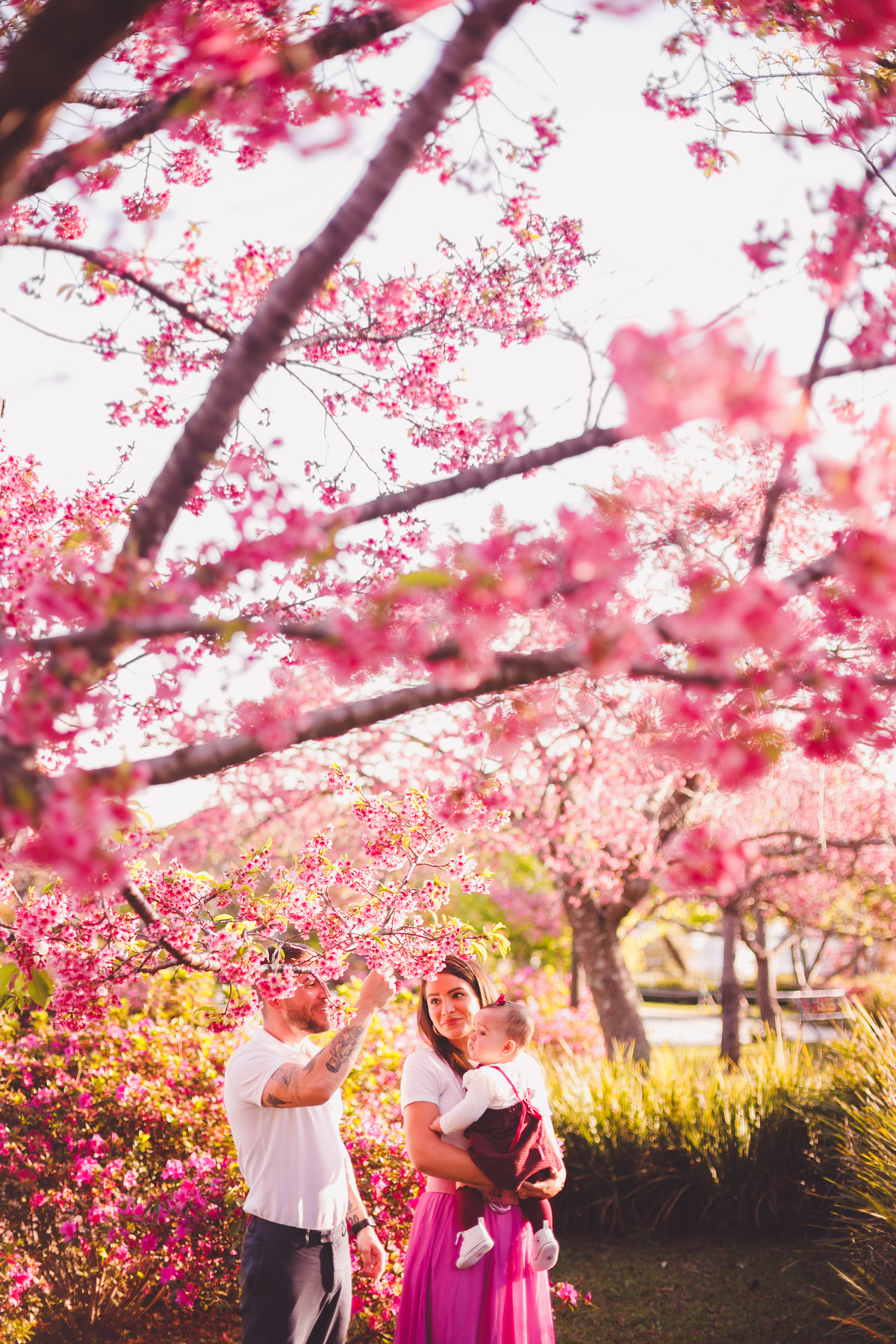 fotografa familia curitiba - ensaio externo cerejeira bebe Olivia 