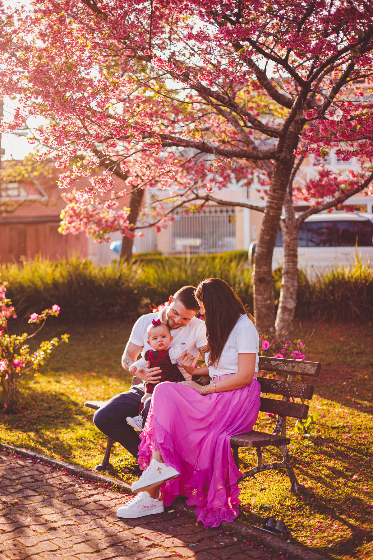 fotografa familia curitiba - ensaio externo cerejeira bebe Olivia 