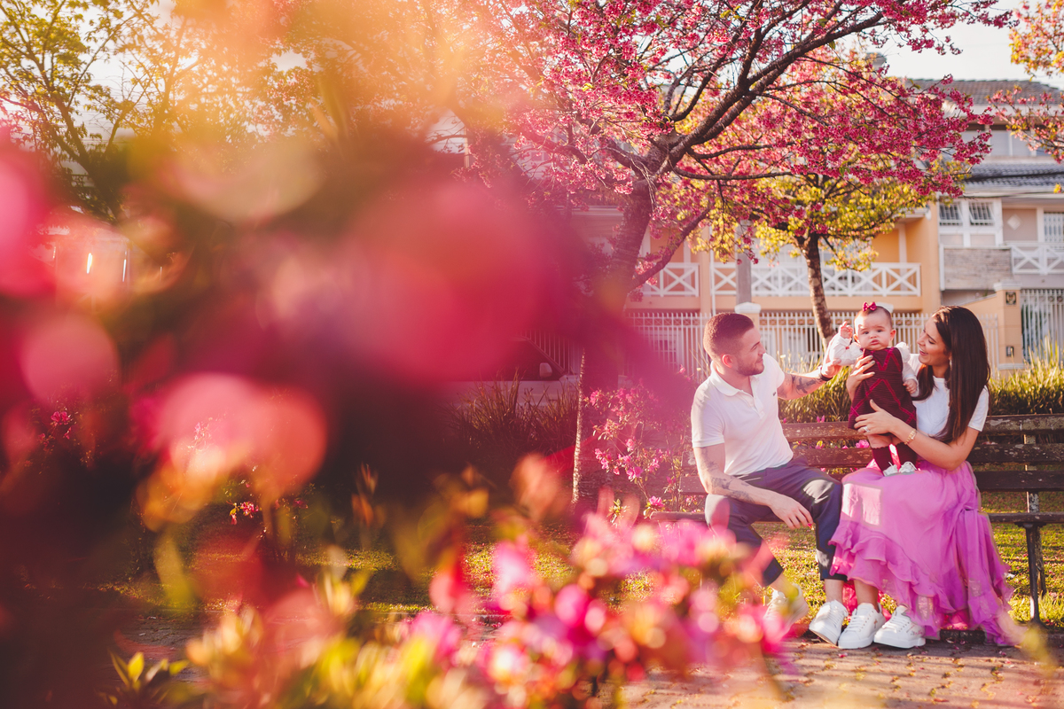 fotografa familia curitiba - ensaio externo cerejeira bebe Olivia 