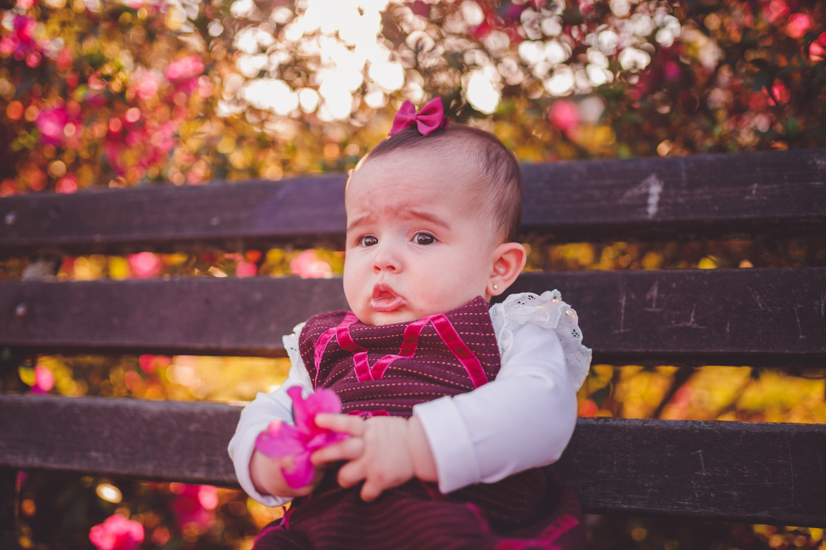 fotografa familia curitiba - ensaio externo cerejeira bebe Olivia 