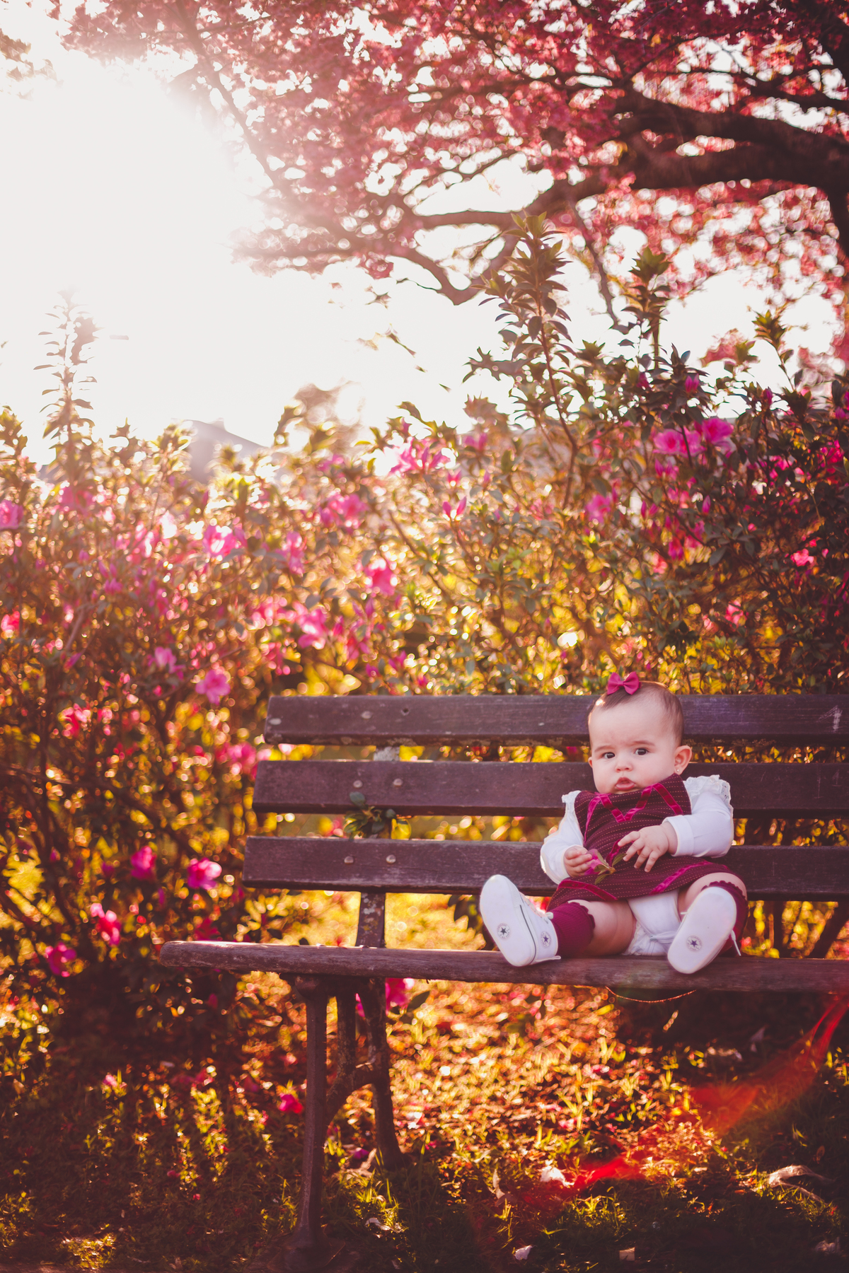 fotografa familia curitiba - ensaio externo cerejeira bebe Olivia 