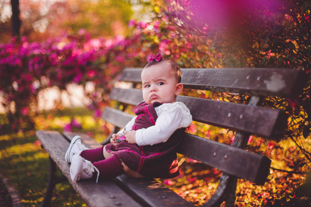 fotografa familia curitiba - ensaio externo cerejeira bebe Olivia 