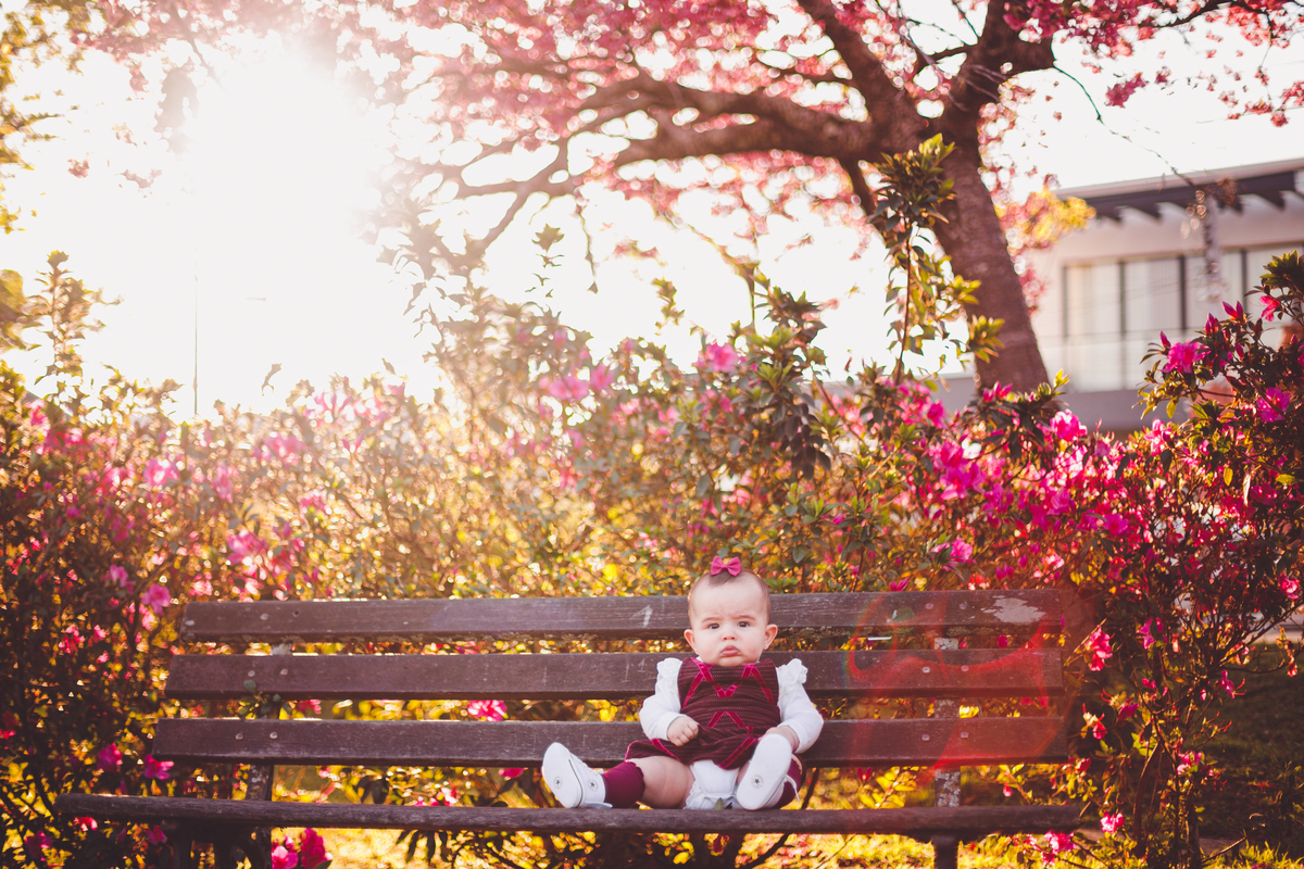 fotografa familia curitiba - ensaio externo cerejeira bebe Olivia 