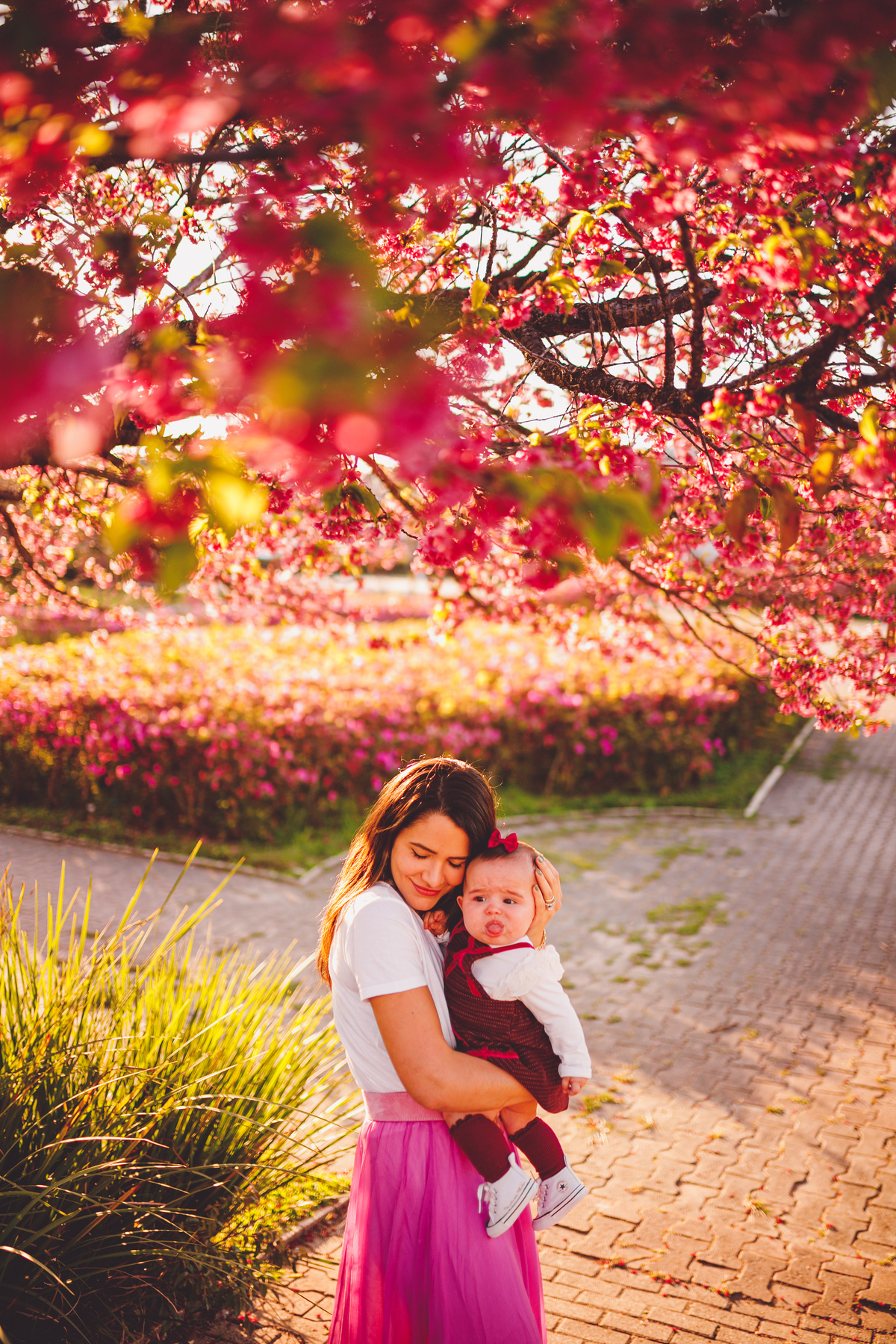 fotografa familia curitiba - ensaio externo cerejeira bebe Olivia 