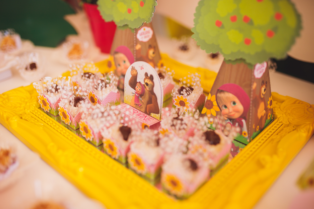 fotografa familia curitiba - aniversario infantil 2 anos externo chácara festa