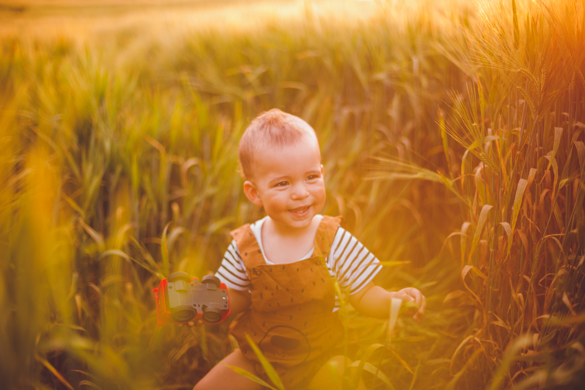 fotografa familia curitiba - ensaio externo camomila trigo bebe 1 ano