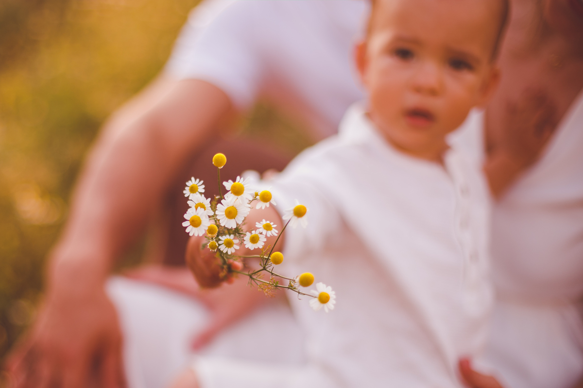 fotografa familia curitiba - ensaio externo camomila trigo bebe 1 ano