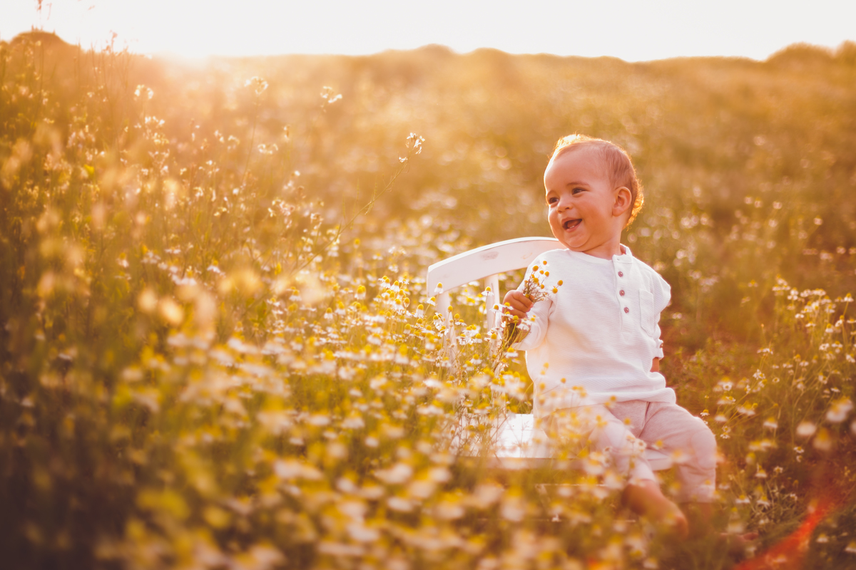 fotografa familia curitiba - ensaio externo camomila trigo bebe 1 ano