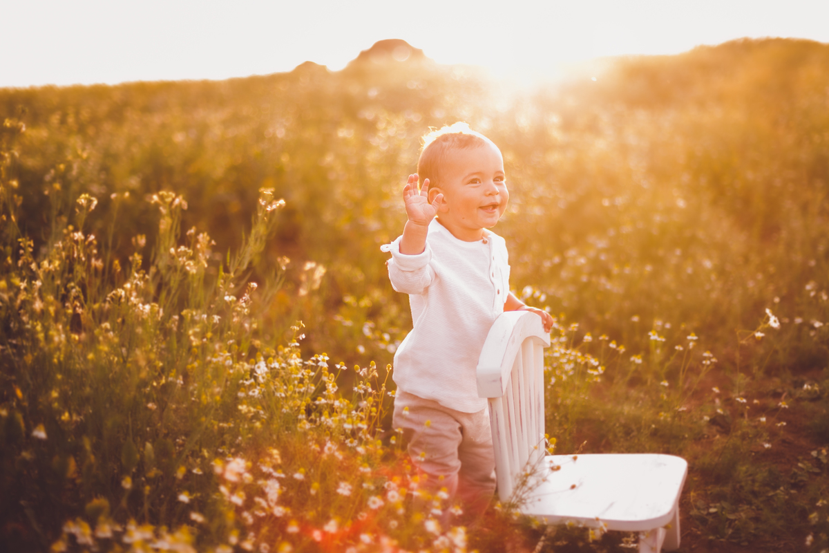 fotografa familia curitiba - ensaio externo camomila trigo bebe 1 ano