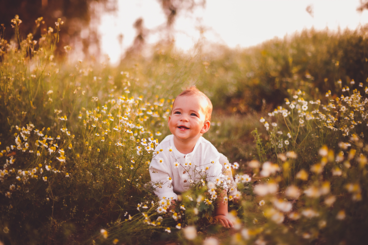 fotografa familia curitiba - ensaio externo camomila trigo bebe 1 ano