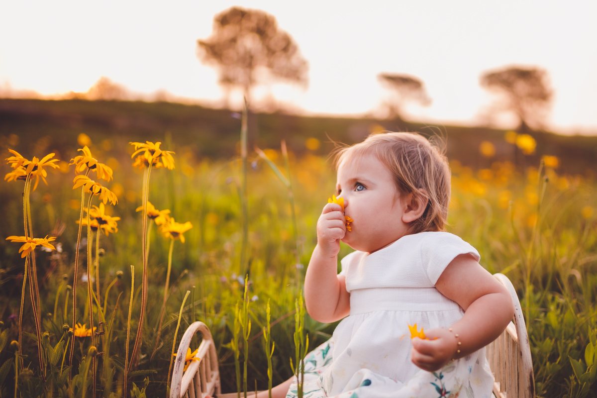 fotografa familia curitiba - externo bebe menina marina 1 ano palmeira recanto dos papagaios