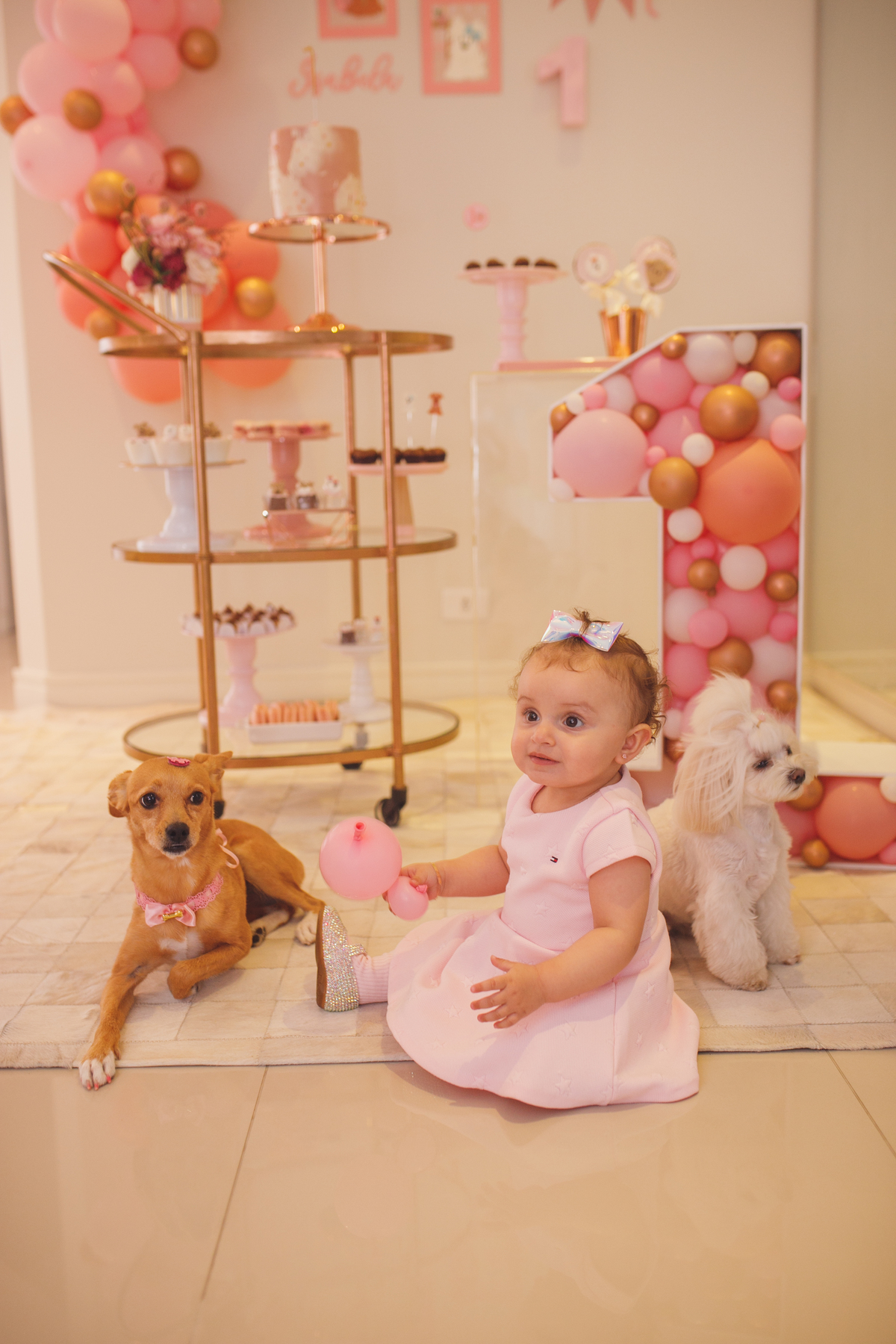 fotografa familia curitiba - aniversario infantil 1 ano