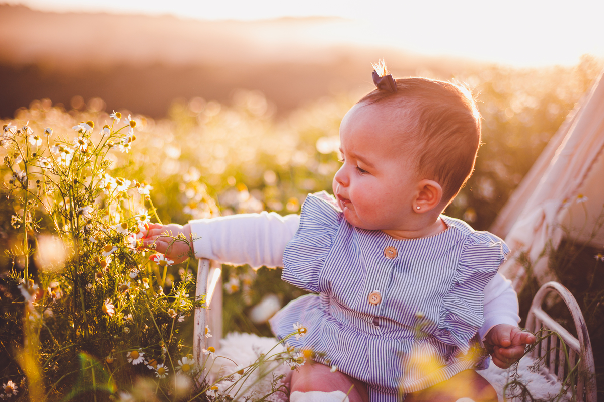 fotografa familia curitiba - ensaio externo camomila bebe menina 
