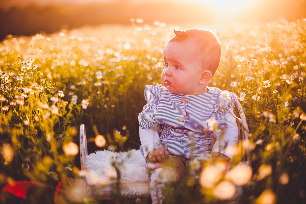 fotografa familia curitiba - ensaio externo camomila bebe menina 